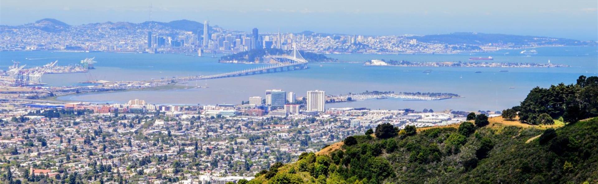 Contractor Coaching in East Bay, CA