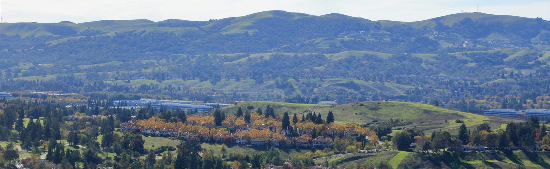 Pleasanton Construction Business Coach